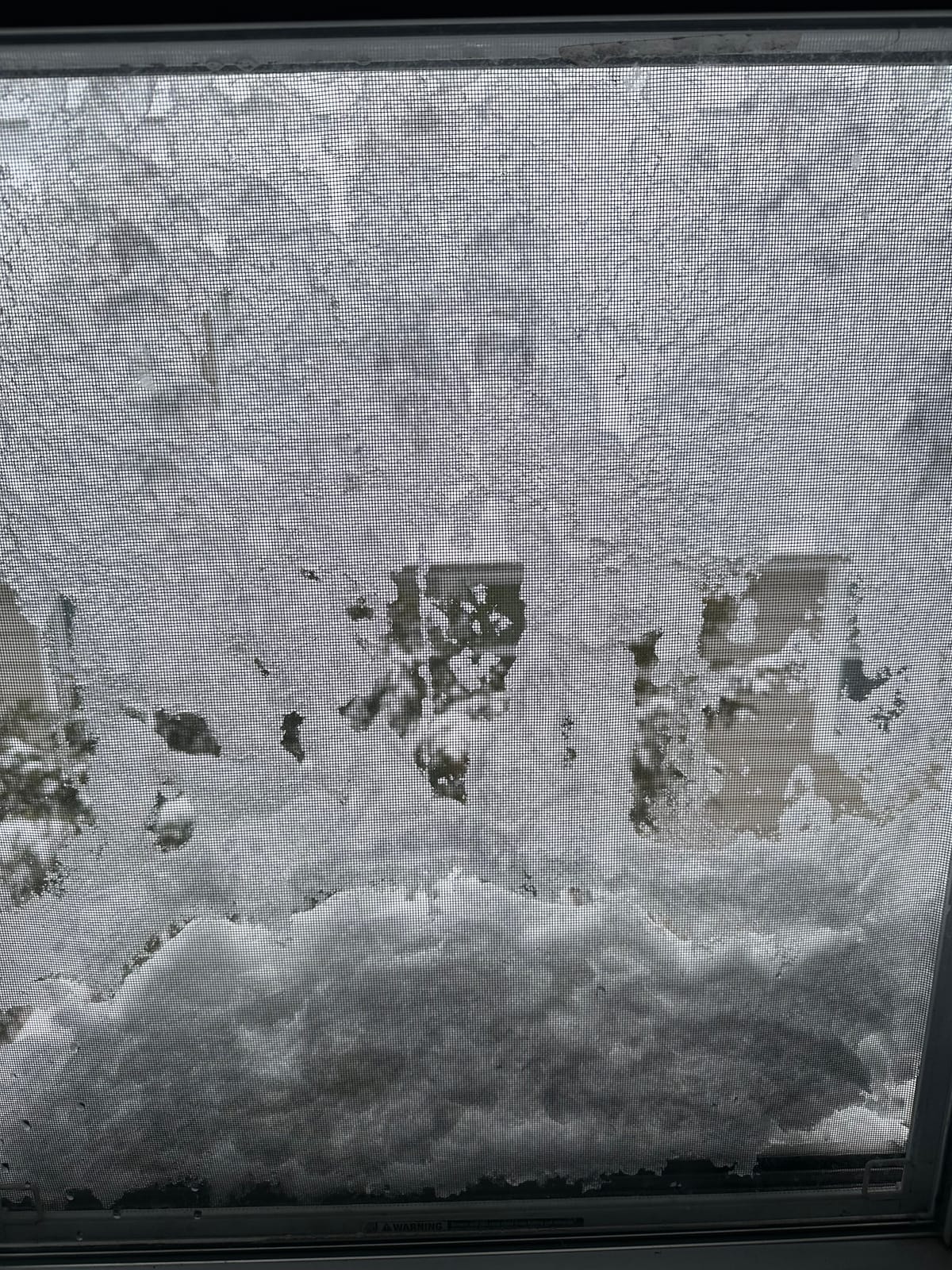 It's a snow day. Join the Board!