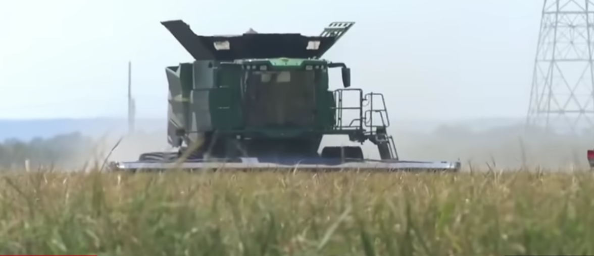 With illegal tariffs, Trump is taxing America into a recession