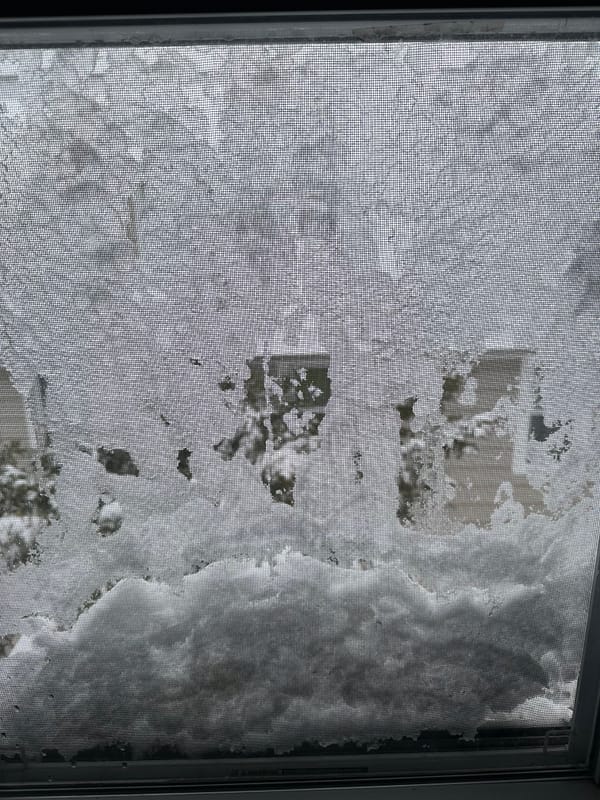 It's a snow day. Join the Board!